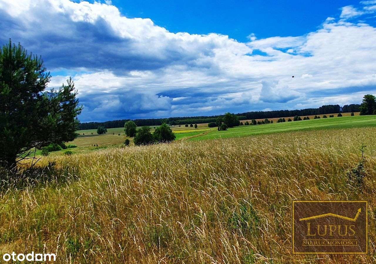 Działki budowlane w Czertyniu - Pełny obrazek: 5/13