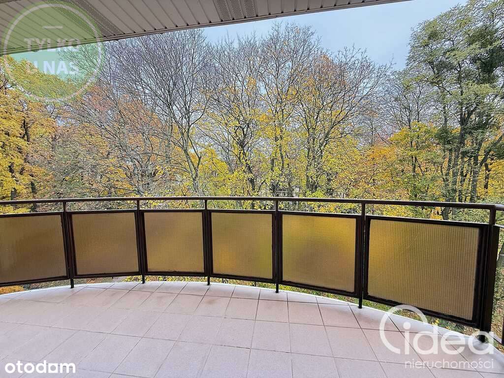 Bukowe, 3 pokoje, cegła, duży balkon-0