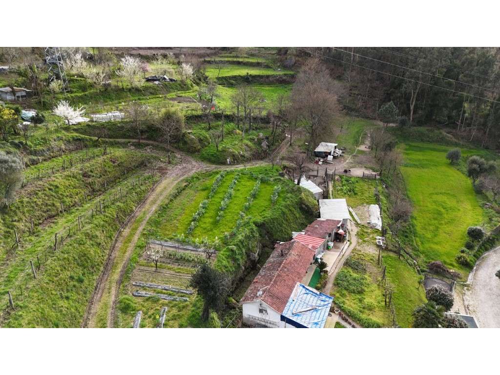 Quinta com 20.000 m² para Venda - Penacova-20
