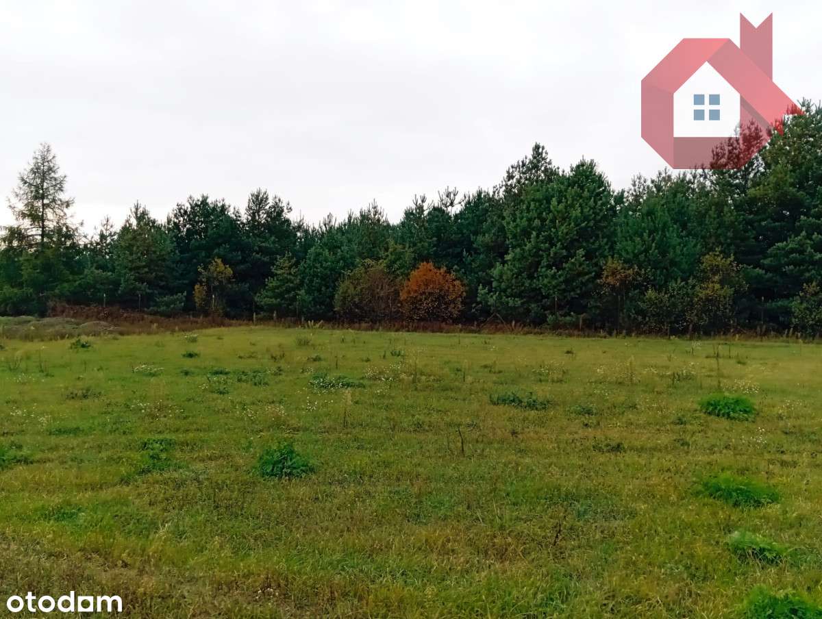 Działka 1726 m2 z prądem , Henryszew k/ Żyrardów-10