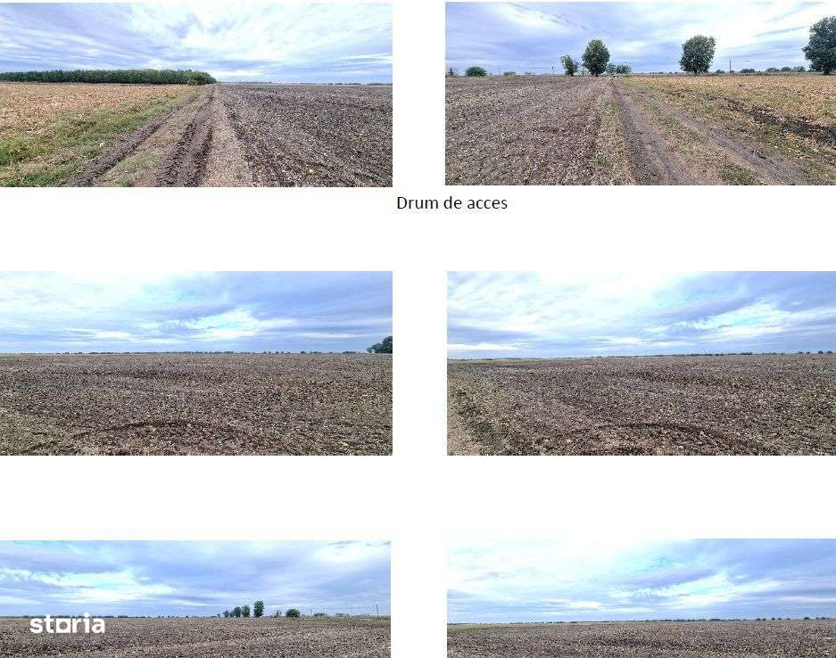 Teren extravilan, Comuna Valcele, Jud calarasi - Imagine principală: 4/6