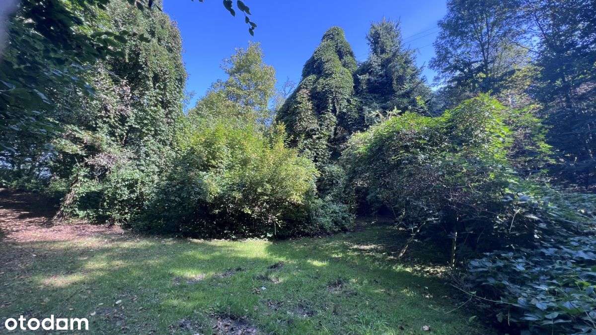 Inwestycyjna działka w Sierczy 39 ar, Pum 1000 m²-7