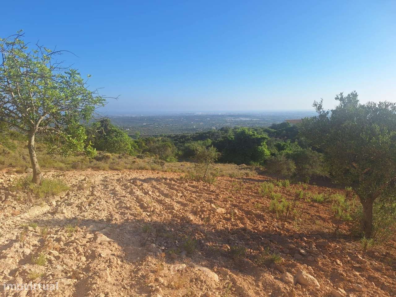 Terreno Rústico a 10km de Estoi-2