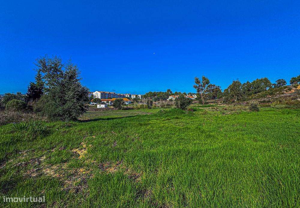 Terreno com 5.102 m2 c/ Viabilidade de Construção para 4.082 m2 - Grande imagem: 2/9