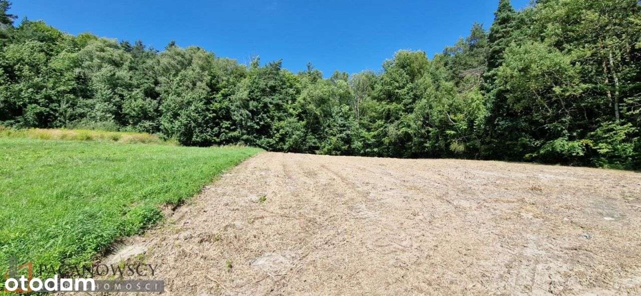 Działka, 2 100 m², Czajowice - Pełny obrazek: 5/9