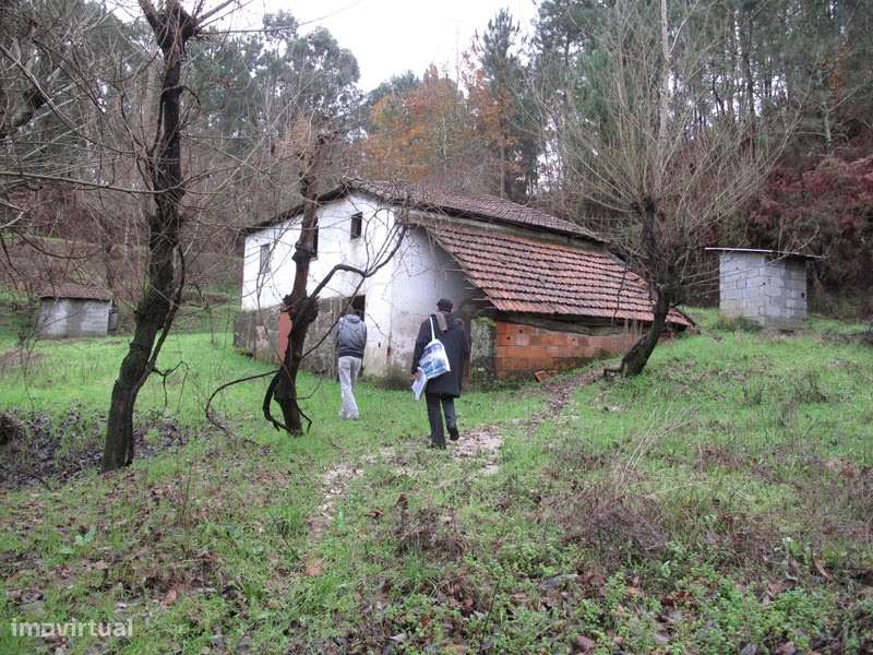 TERRENO COM RUINA LUGAR DE MOGAS - Grande imagem: 3/22