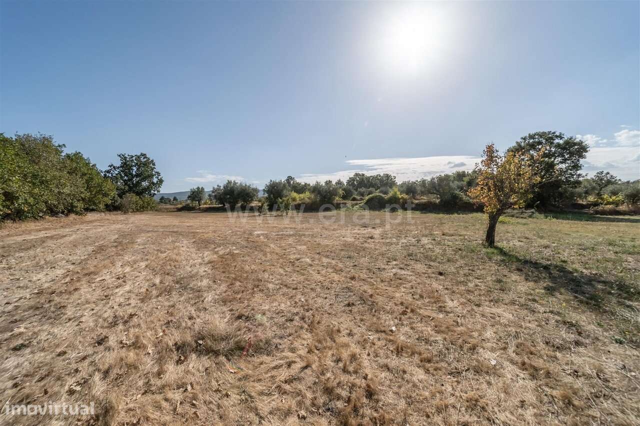 Terreno Valverde Fundão - Grande imagem: 4/13