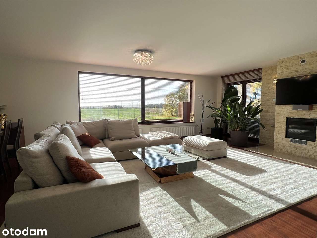 Piękny Dom 250m2, działka 5056m2-6