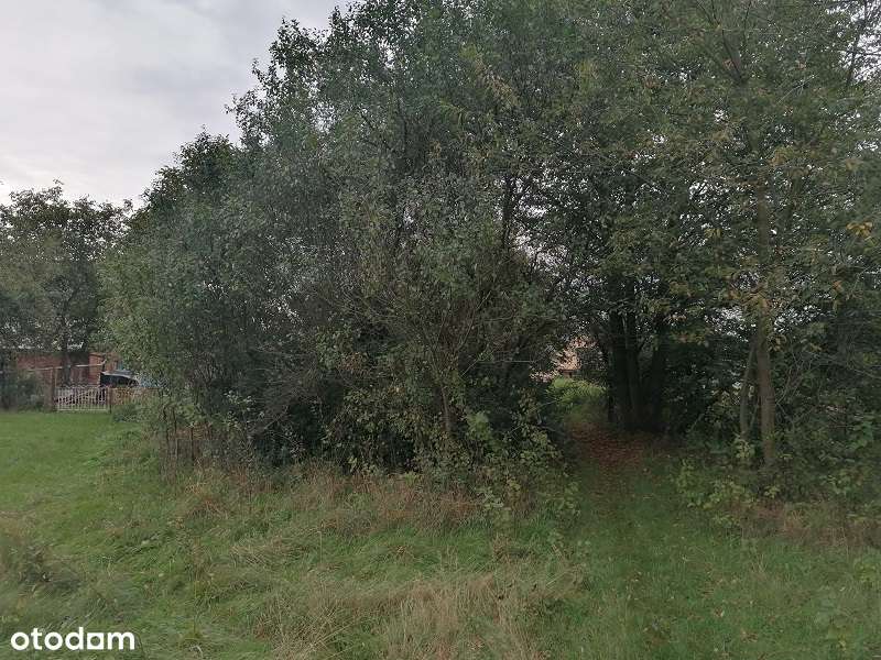 Działka w Przechodzie-5