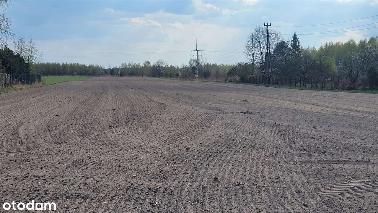 grunt deweloperski pod domy i usługi gmina Leszno - Pełny obrazek: 3/6