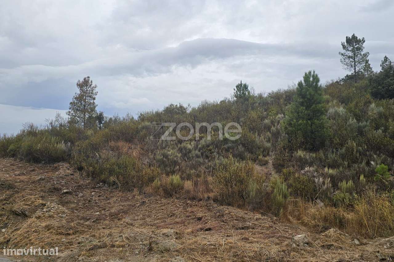 Terreno agrícola com 26.330 m² - Grande imagem: 4/7