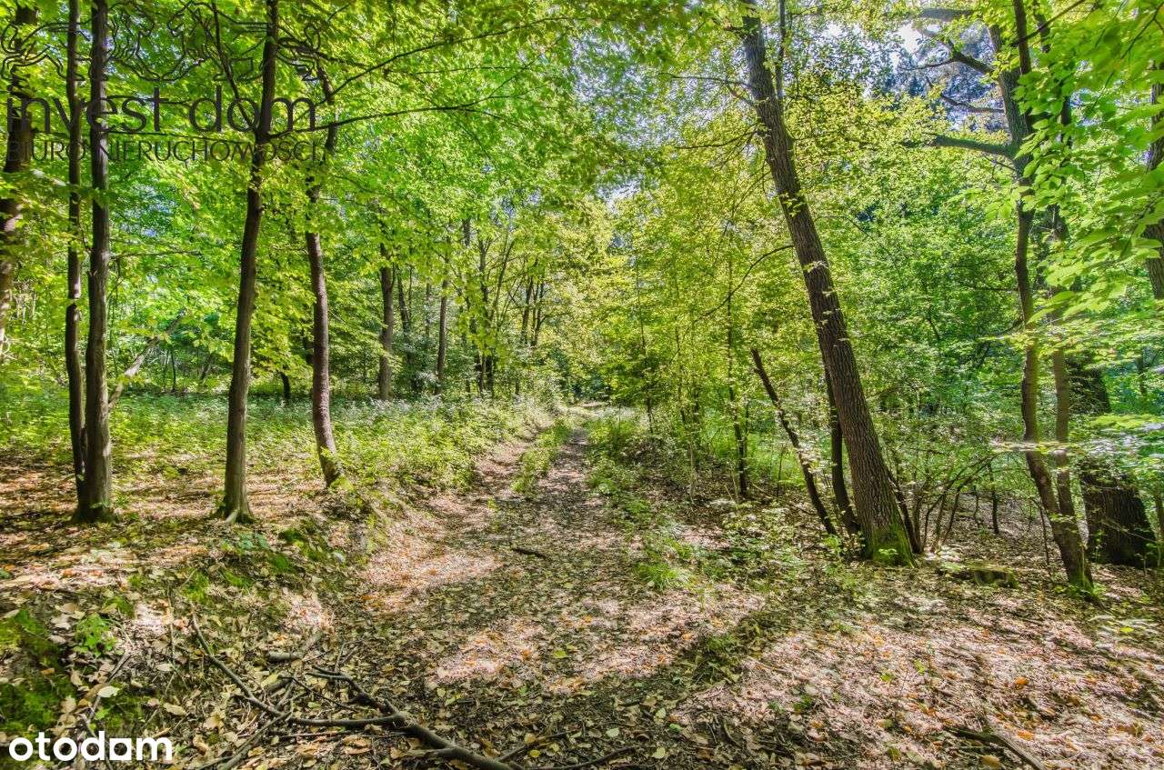 ..wymarzona działka w Ropicy Polskiej !!!-7