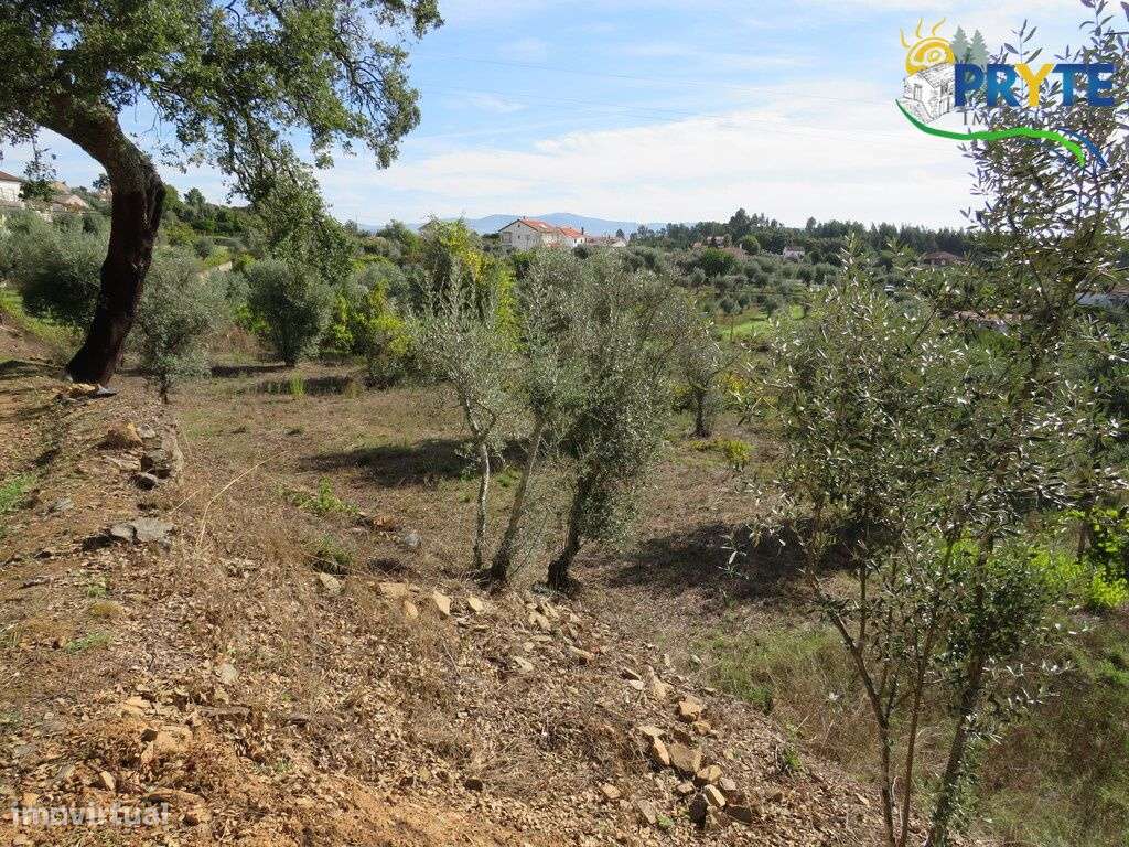 Moradia T3 situada em Outeiro da Lagoa, a apenas 5 minutos da Sertã-17