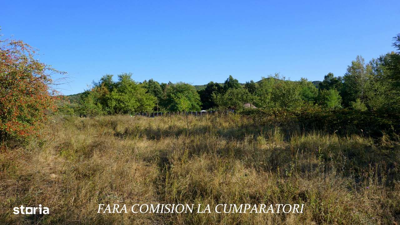 BUDESTI, TEREN 1000 MP, PRIVELISTE MINUNATA - Imagine principală: 5/13