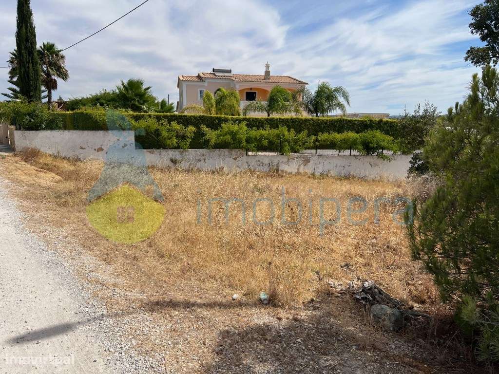 TERRENO AMPLO COM POÇO-BOAS VISTAS E PINHEIROS A 4KM DA PRAIA - Grande imagem: 5/35