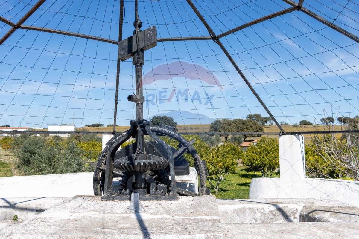 Quinta T7 para venda - Grande imagem: 5/37