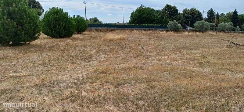 Terreno rústico para lotear - Grande imagem: 5/11