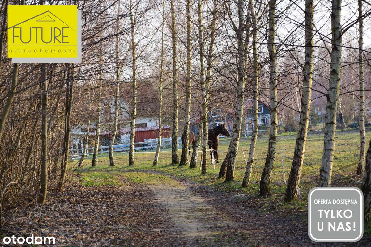 Działka pod agroturystykę 4km do Mikoszewa-9