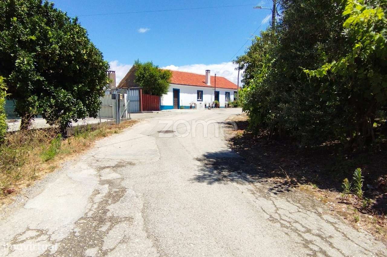 Terreno Almagreira-17