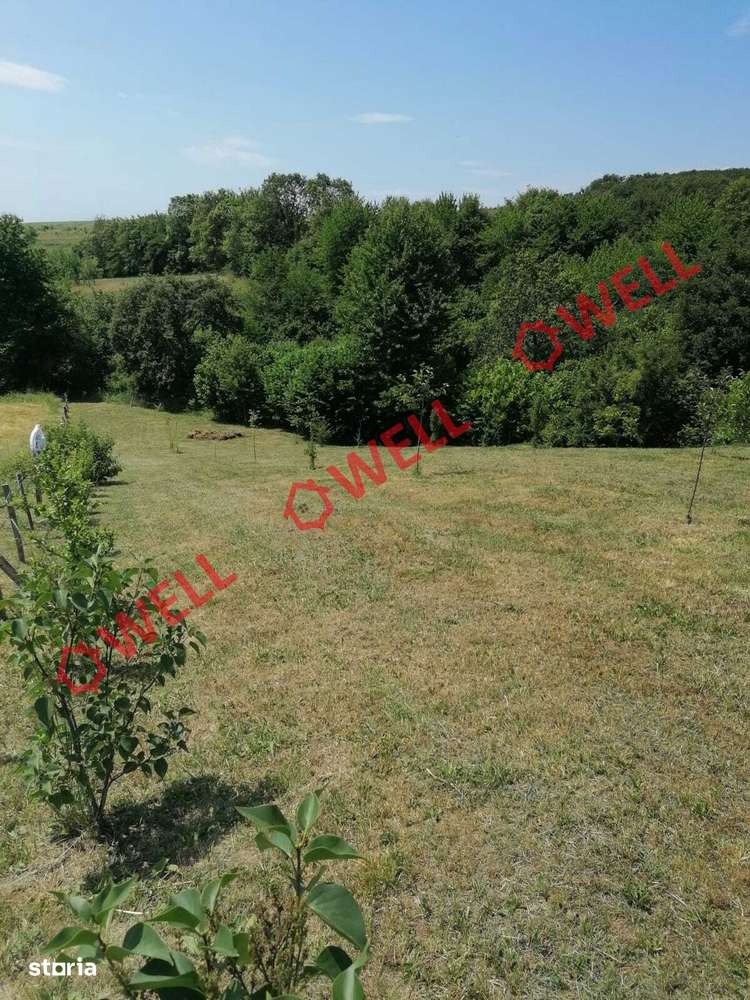 Teren intravilan de vânzare în Calnic! - Imagine principală: 4/11