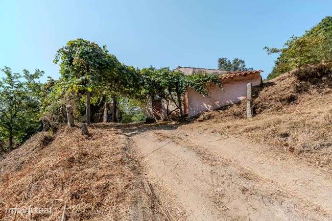 Moradia térrea em Moegas, Ribeira do Neiva - Vila Verde-13