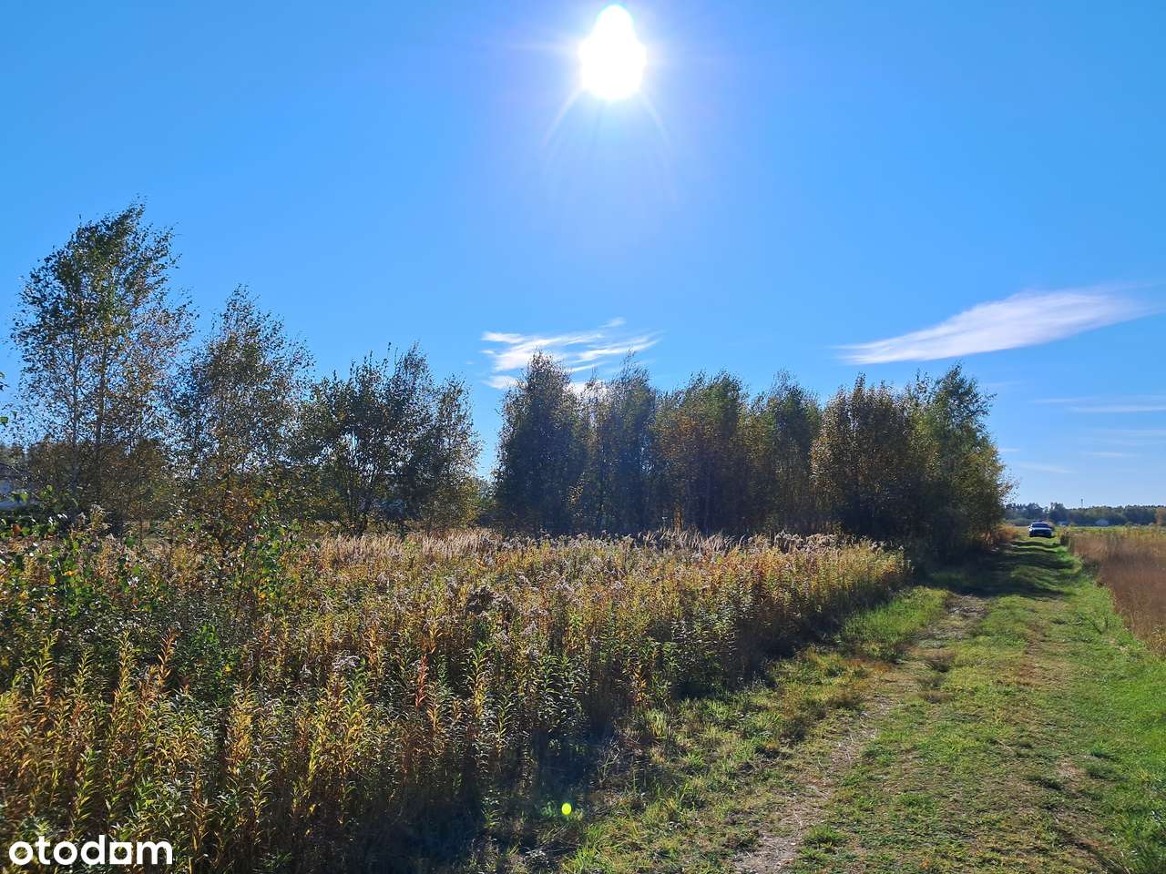 Celinów gm. Dębe Wielkie - 700 m2, warunki zabudowy. - Pełny obrazek: 5/6