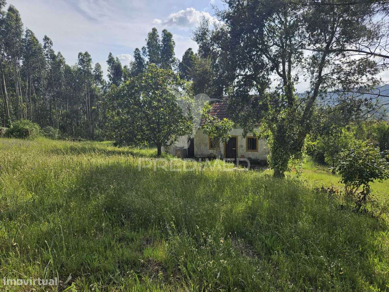 Moradia de Campo - Grande imagem: 5/15