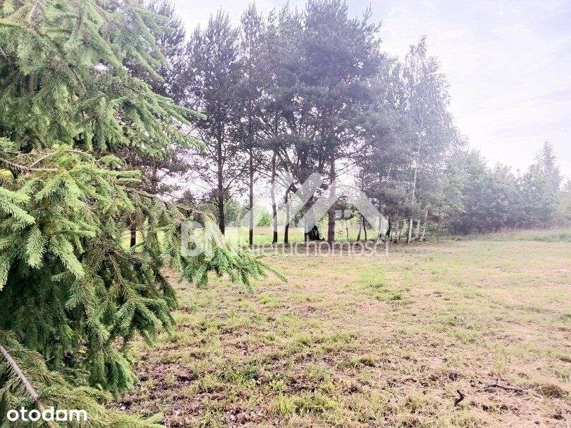 Adamowizna, budowlana - Pełny obrazek: 5/5