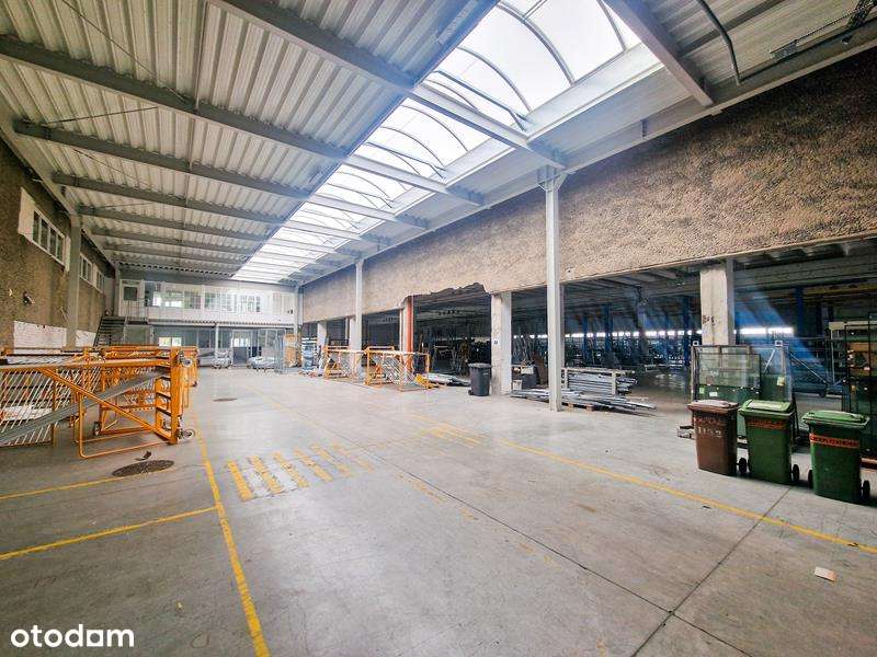 Produkcja od zaraz? To tu!-8