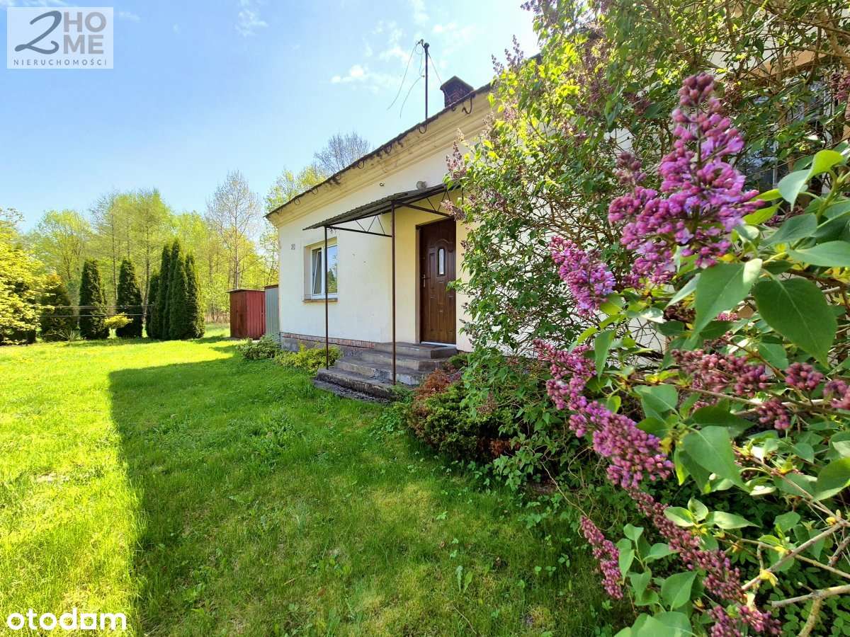 Siedlisko w Sutkowie na hektarowej działce-13