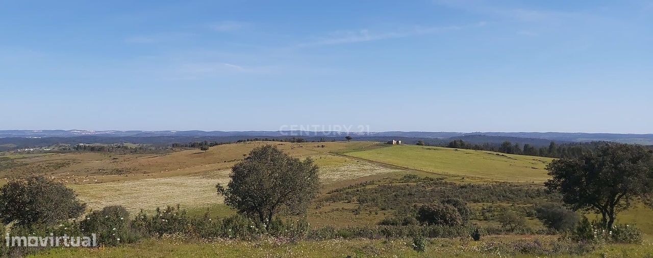 Terreno Alandroal- Entre os Orvalhos e Hortinhas