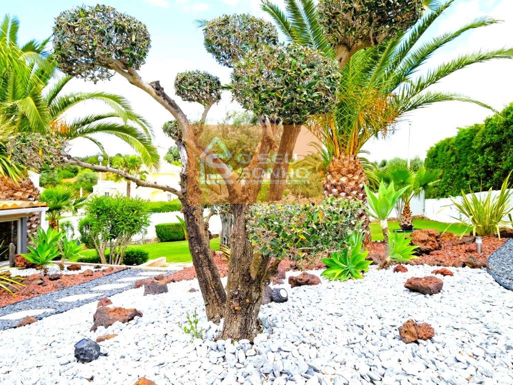 Moradia em São Brás de Alportel-26