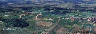 Terreno Agrícola em Alvorge de 1250,00 m2 - Grande imagem: 3/10
