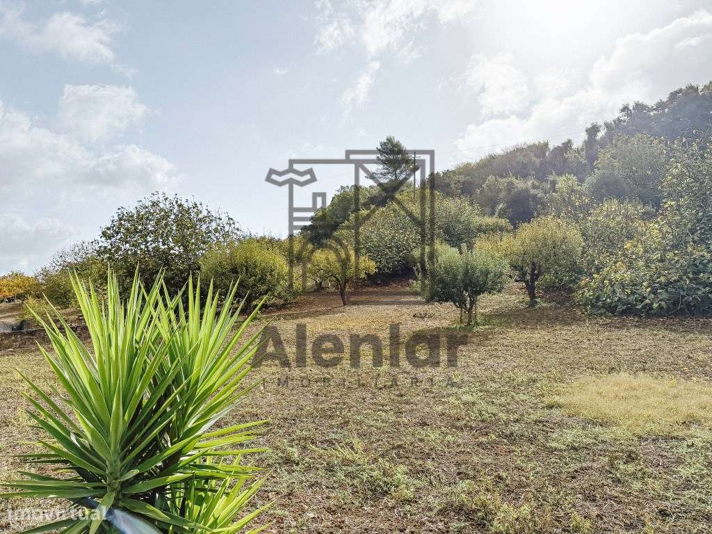 Quinta de Charme no Coração dos Vinhos de Lisboa - Azedia, Alenquer-55