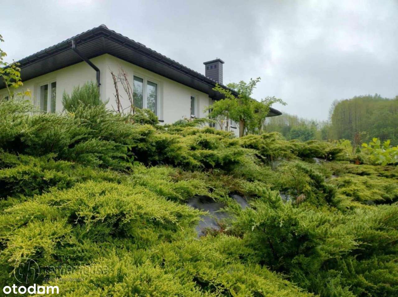 Hermanowa- parterowy dom wolnostojący dz. 12.13ar-1