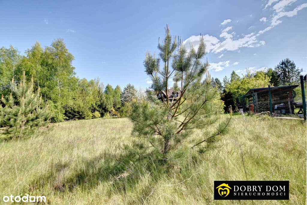 Działka budowlana Supraśl 1585 m² z mediami - Pełny obrazek: 4/13