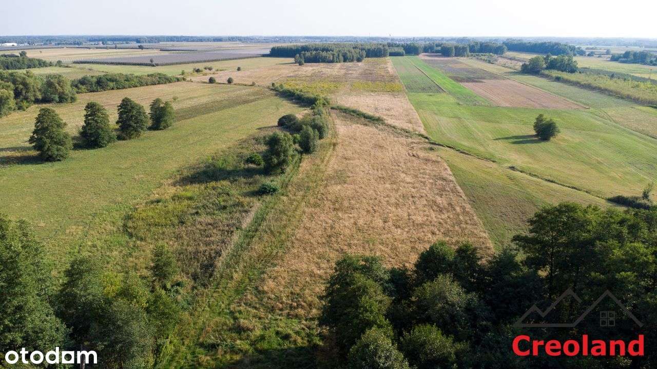 Działka z warunkami zabudowy blisko siedliska-7