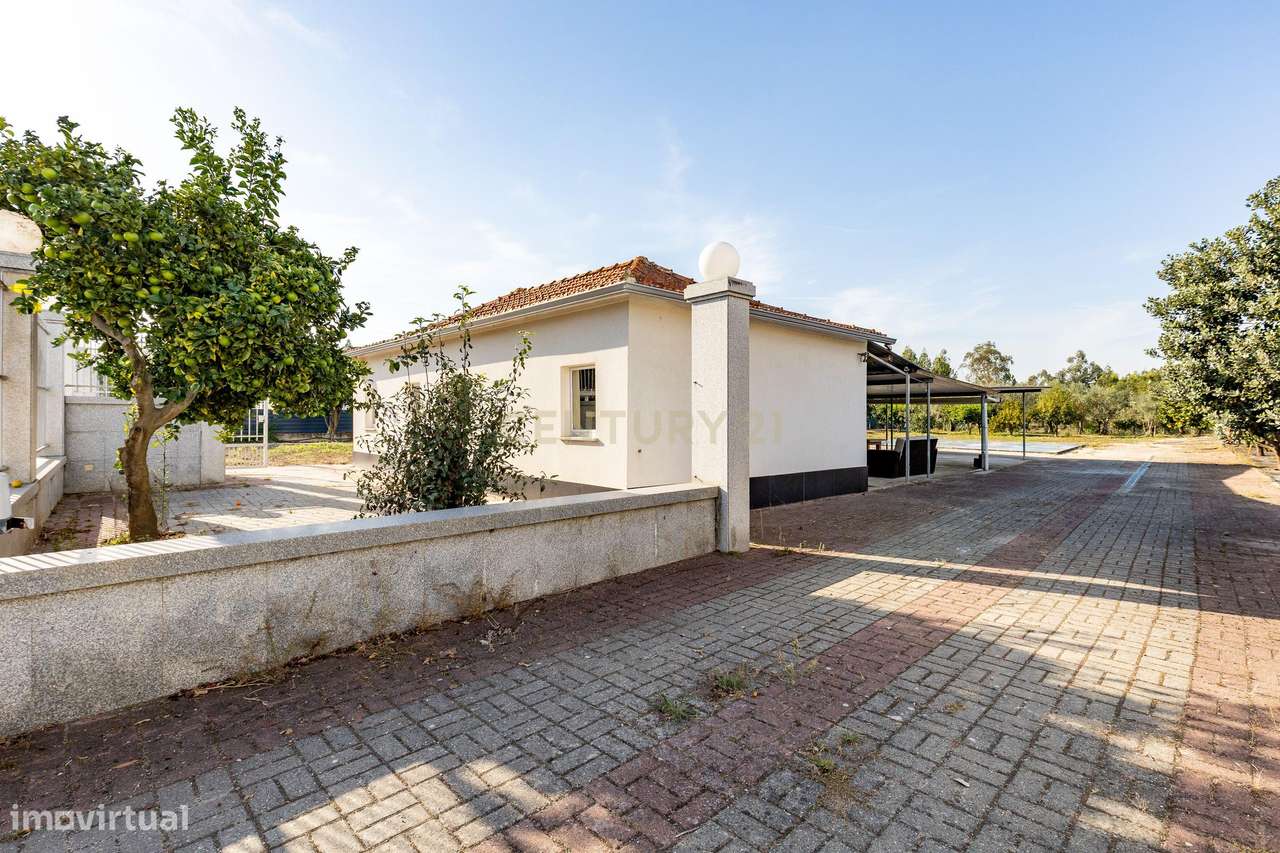 Quinta com Moradia || Um refúgio de tranquilidade e natureza - Grande imagem: 4/43