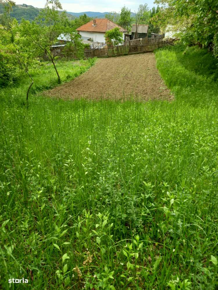 Teren de vanzare ideal casa de vacanta sat Blaju Comuna Tigveni - Imagine principală: 1/5