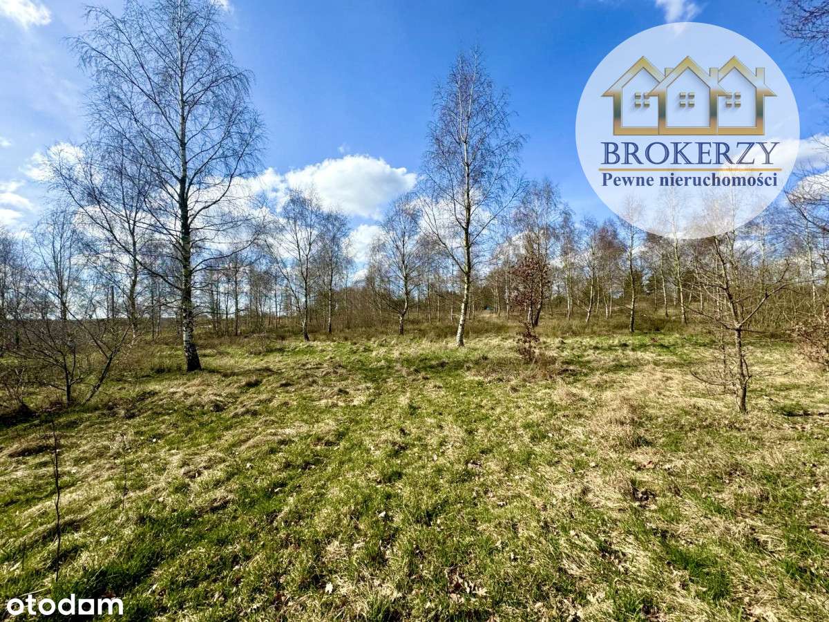 570734 - Pełny obrazek: 1/2