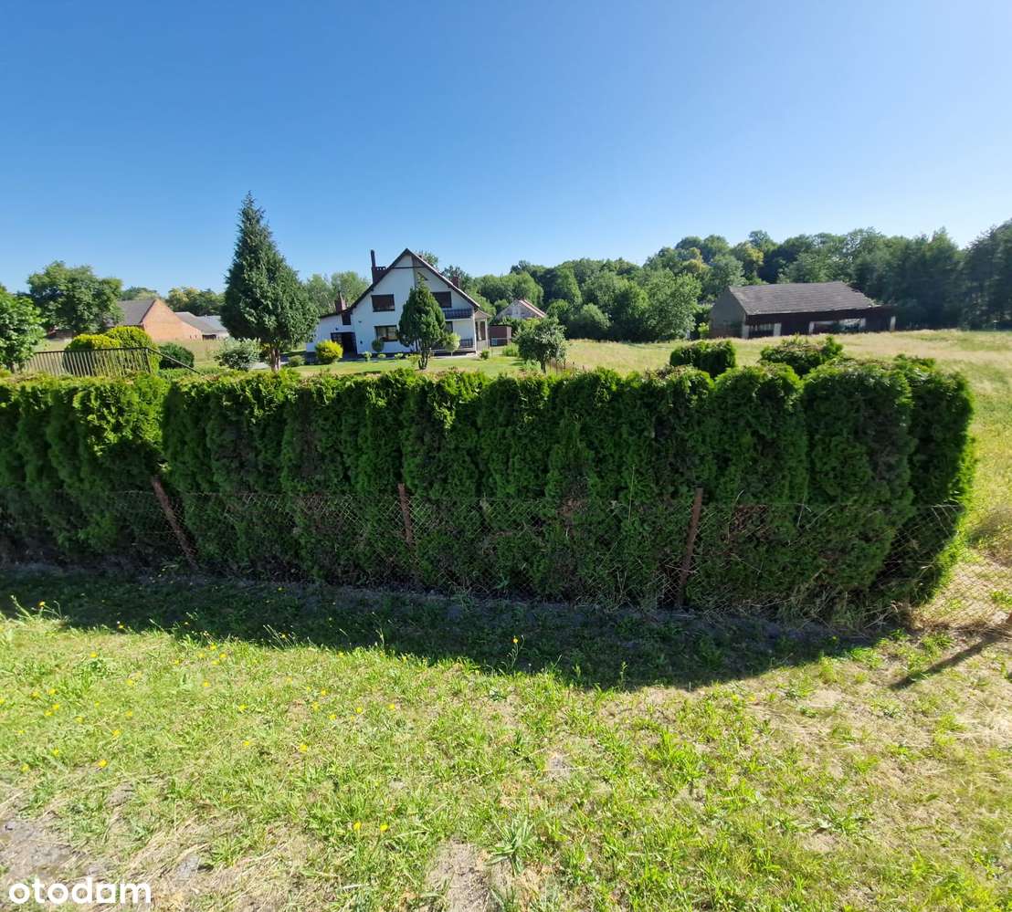 Na sprzedaż dom wraz z zakładem stolarskim w Rudziczce.-3