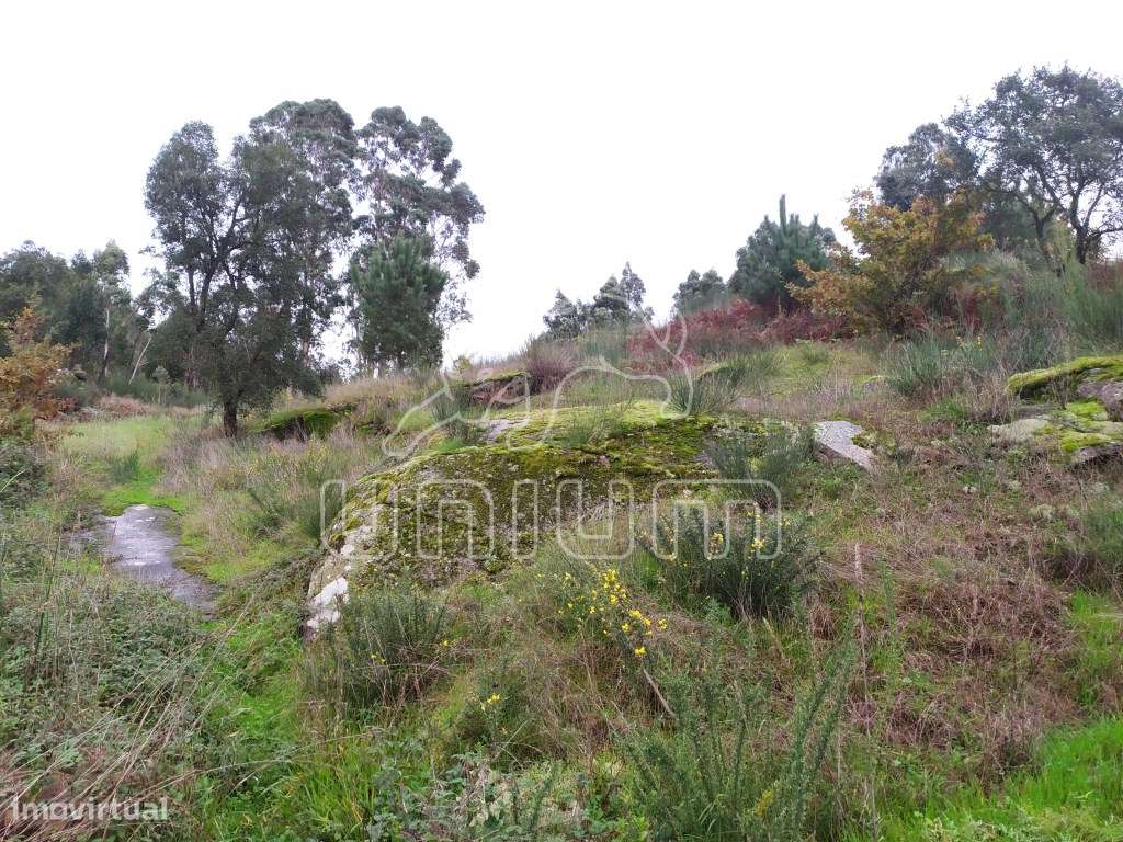Terreno em Cardielos - Grande imagem: 3/7