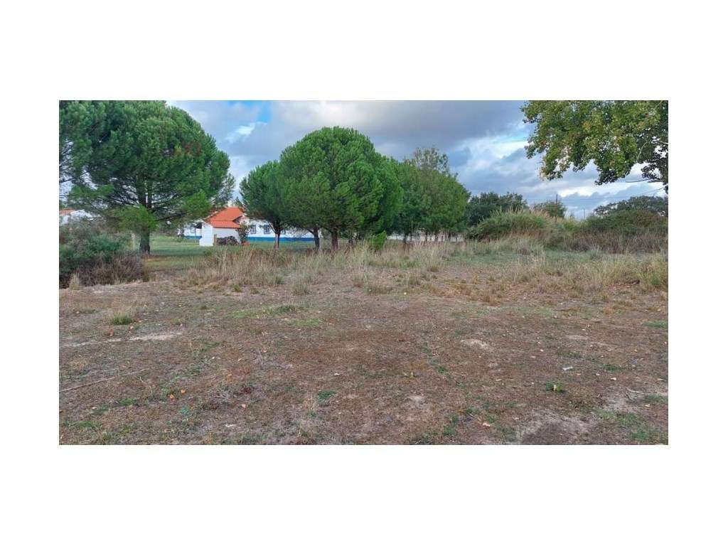 Vende-se Quintinha em Évora - Grande imagem: 4/6