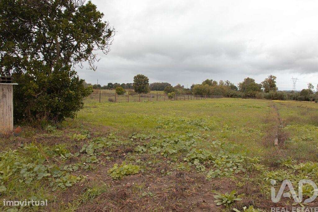 Casa de aldeia T3 em Carregueira de 107,00 m2 - Grande imagem: 4/14