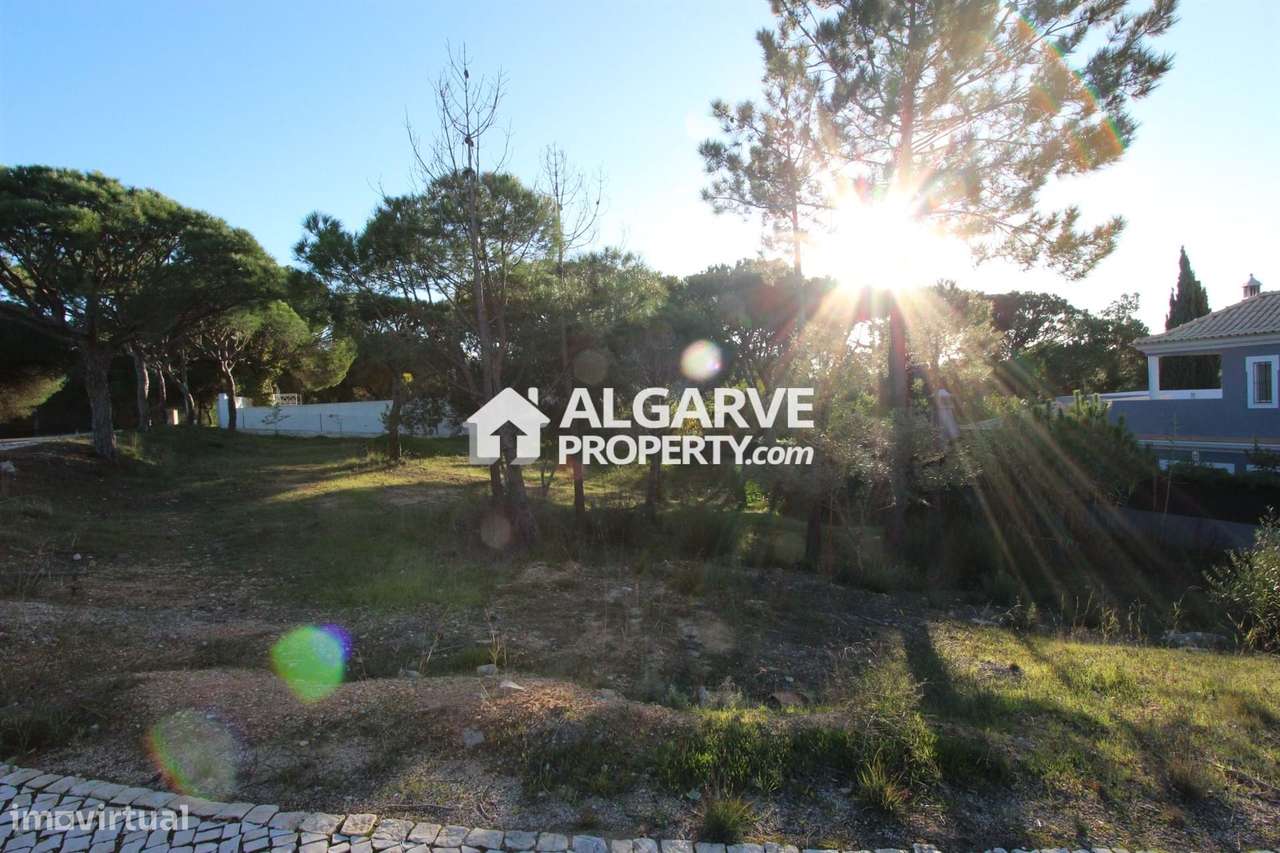 VILAS ALVAS - Lote de terreno perto da PRAIA - Grande imagem: 3/7