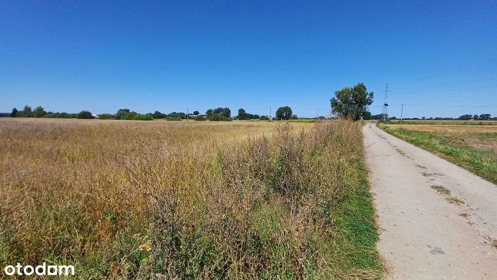 Malownicza działka we Włostowie, gmina Bogdaniec-4
