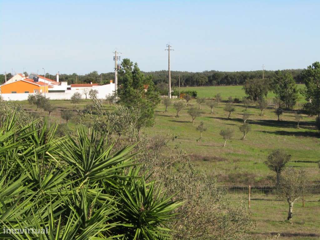 Lote para Construção-10