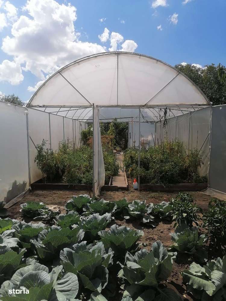 Fratelia - Casa P+M + 2 apartamente 1 cam. - 571 mp teren - Imagine principală: 5/20