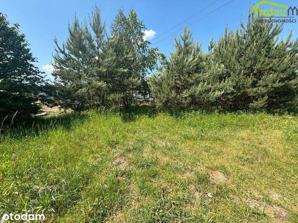 Działka budowlana o pow.4272m2, Turznice - Pełny obrazek: 4/8