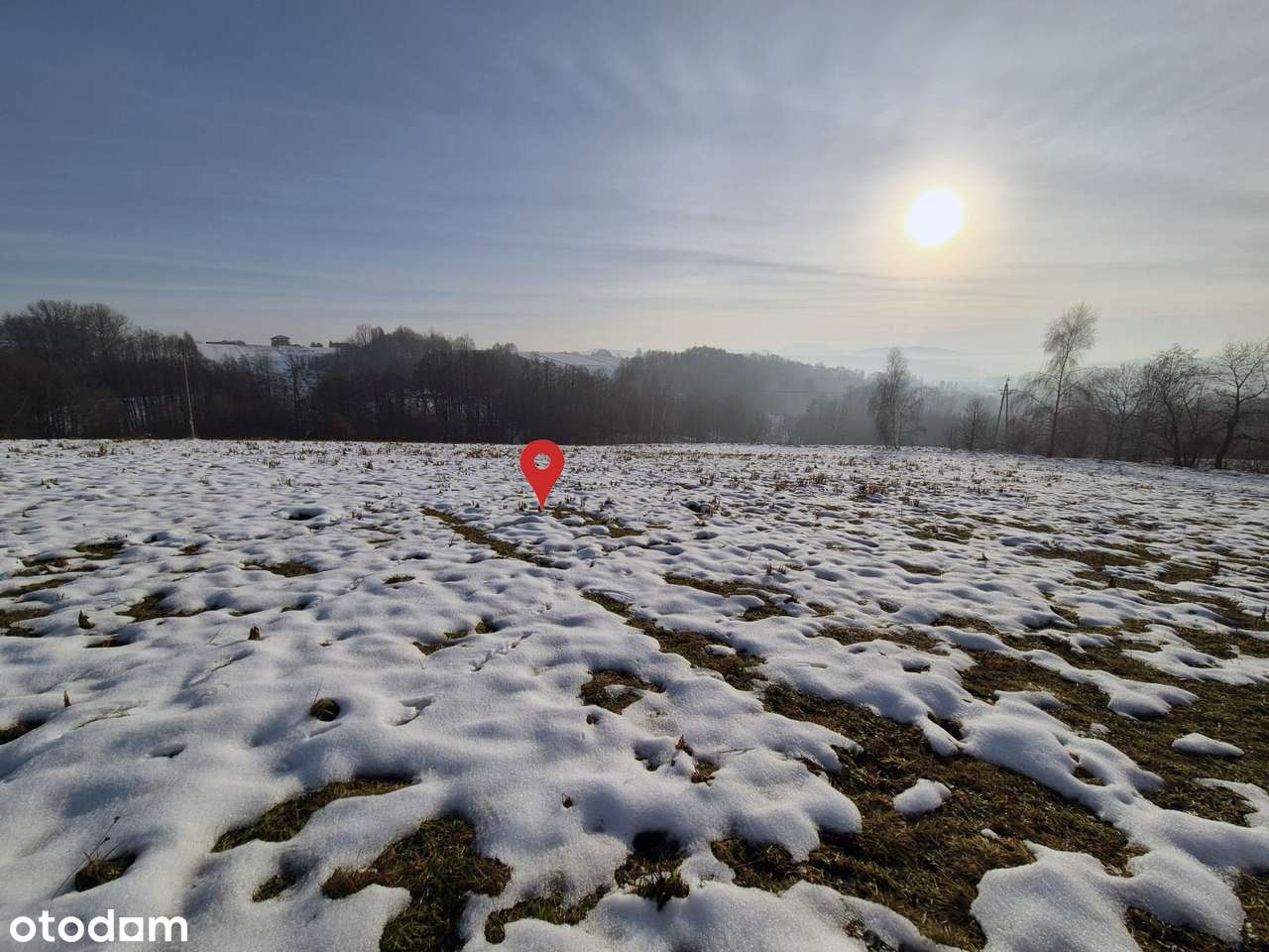 83,8 ar MPZP – dom, agroturystyka, hala do 400 m² | Przytkowice - Pełny obrazek: 3/18